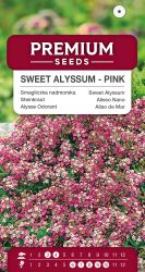 Sweet Alyssum Pink Seeds